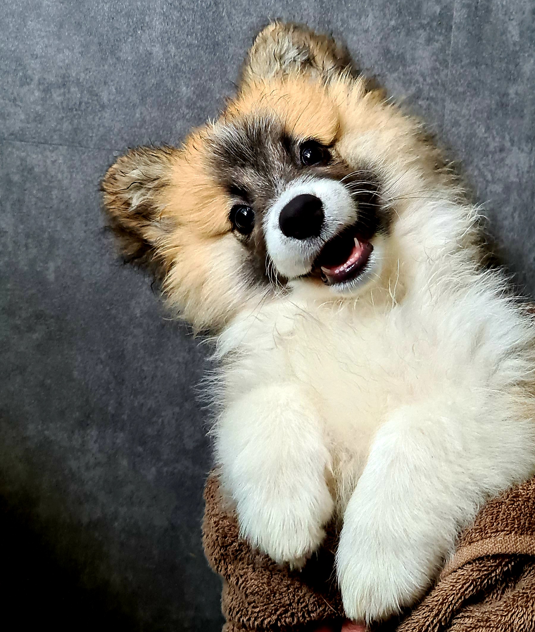 Pickle Keil looking the cutest